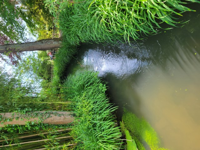 20220519_164133.jpg